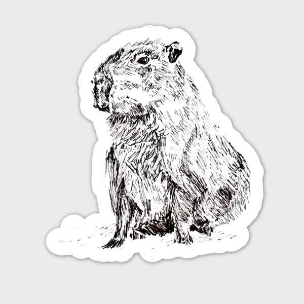 KAPYBARA - dekorativní samolepka