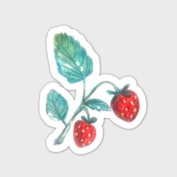 JAHŮDKY - dekorativní samolepka